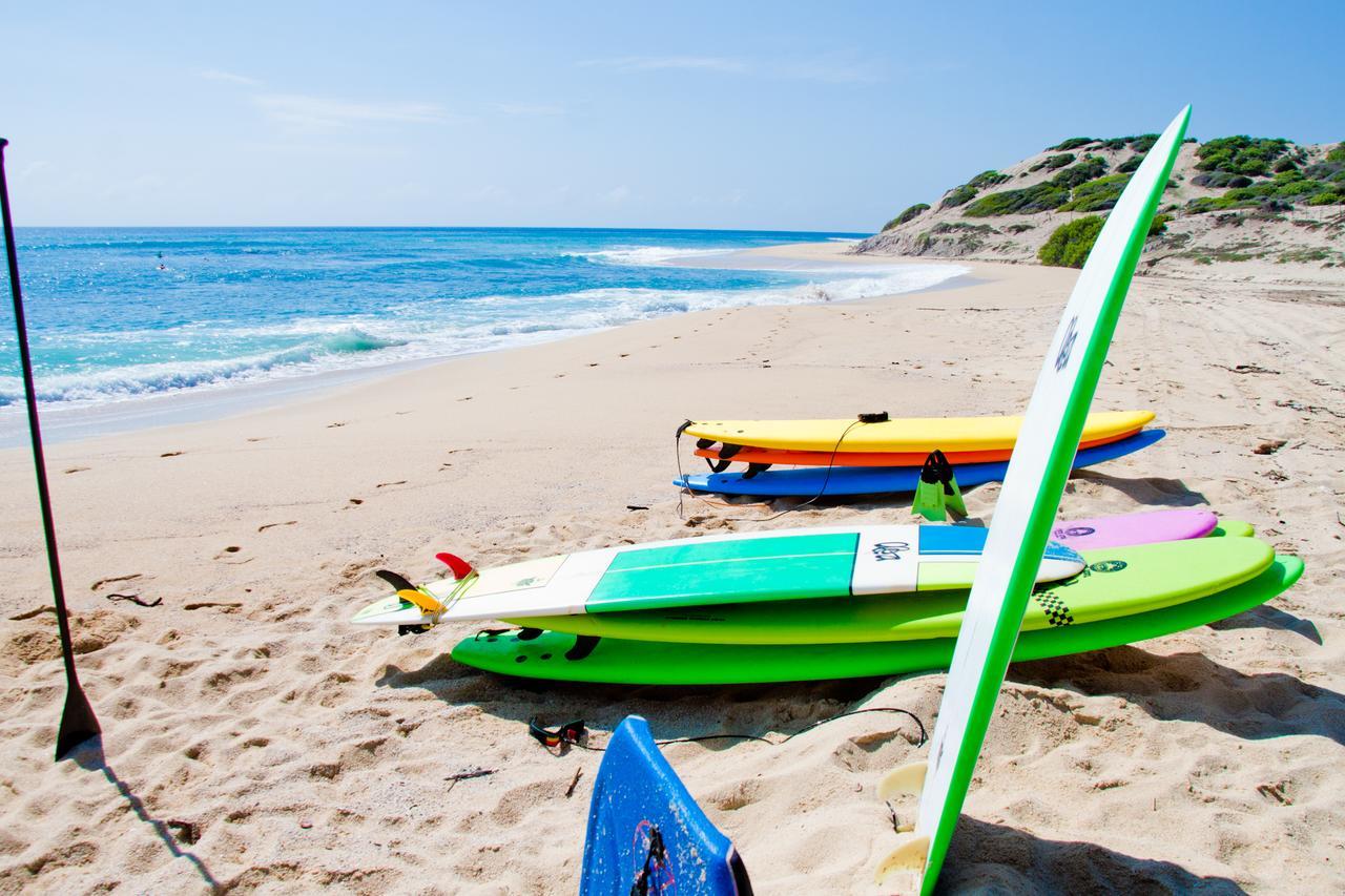 Surf Hostel Cabo "The Riptide" San José del Cabo Eksteriør billede