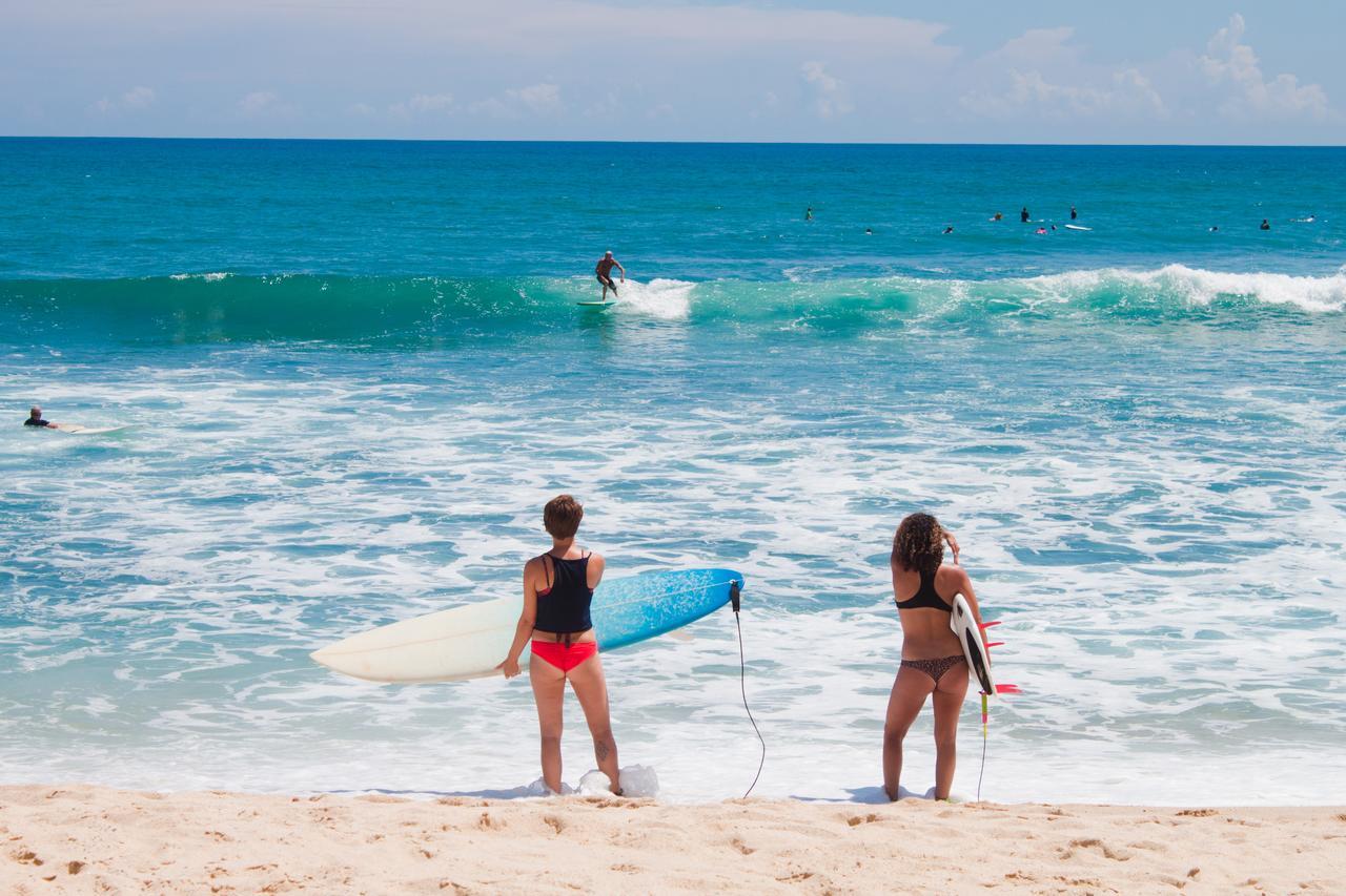 Surf Hostel Cabo "The Riptide" San José del Cabo Eksteriør billede